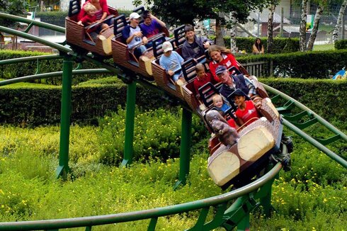 Turning old into new: restoration of squirrel track - Lochmühle (GER)