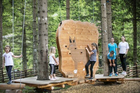 On the trail of the fox