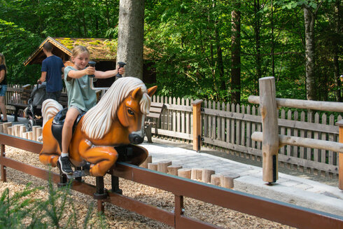 Interactive Horse Riding Arena: The Latest Family Attraction